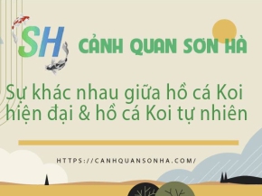 Những điểm khác nhau giữa hồ cá koi hiện đại và hồ cá koi phương pháp tự nhiên