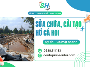 Sửa chữa, cải tạo hồ cá Koi tại TP.HCM uy tín, có mặt nhanh