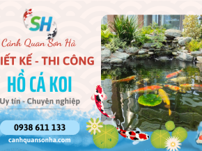 Cảnh Quan Sơn Hà - Thiết kế thi công hồ cá Koi uy tín, chuyên nghiệp