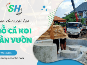 Dịch vụ sửa chữa, cải tạo, hồ cá Koi sân vườn