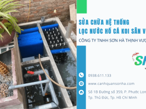 Dịch vụ sửa chữa hệ thống lọc nước hồ cá Koi sân vườn