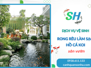 Dịch vụ vệ sinh rong rêu làm sạch hồ cá Koi sân vườn