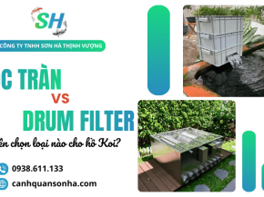 Lọc tràn vs Drum filter - Nên chọn loại nào cho hồ Koi?