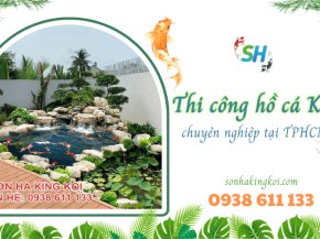 THIẾT KẾ THI CÔNG HỒ CÁ KOI - TIỂU CẢNH SÂN VƯỜN ĐẸP CHUẨN NHẤT NĂM 2023