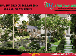 Sửa chữa cải tạo, làm sạch hồ cá Koi chuyên nghiệp