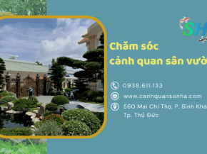 Thi công chăm sóc cảnh quan sân vườn chuyên nghiệp