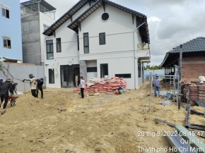 Thiết kế thi công hồ cá Koi quận 12 