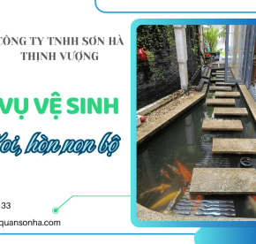 Dịch vụ vệ sinh hồ cá Koi, hòn non bộ chuyên nghiệp