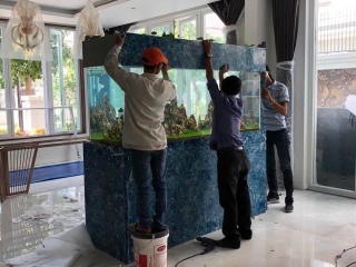 Thiết Kế - Thi Công Hồ Thủy Sinh