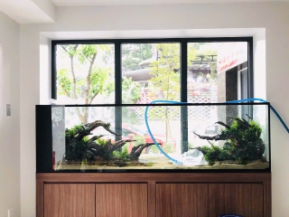 Thiết Kế - Thi Công Hồ Thủy Sinh