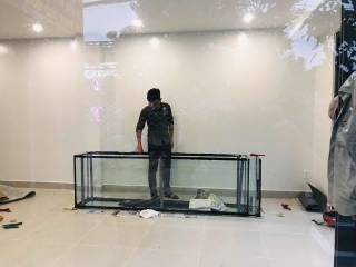 Thiết Kế - Thi Công Hồ Thủy Sinh