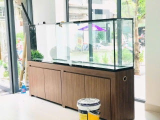 Thiết Kế - Thi Công Hồ Thủy Sinh