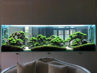Thiết Kế - Thi Công Hồ Thủy Sinh