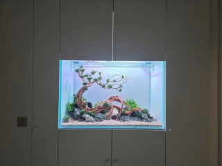 Thiết Kế - Thi Công Hồ Thủy Sinh