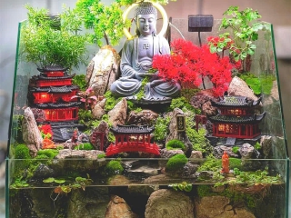 Thiết Kế - Thi Công Hồ Thủy Sinh
