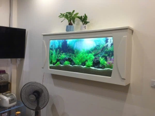 Thiết Kế - Thi Công Hồ Thủy Sinh