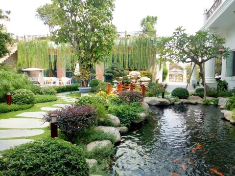 Mẫu hồ cá Koi nhỏ vườn nhà 