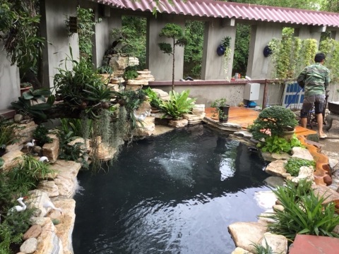Mẫu hồ cá Koi nhỏ vườn nhà 