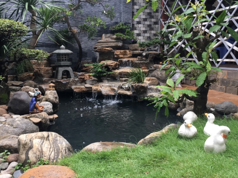 Mẫu hồ cá Koi nhỏ vườn nhà 