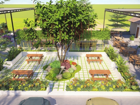 Mẫu hồ cá Koi cho quán Cafe